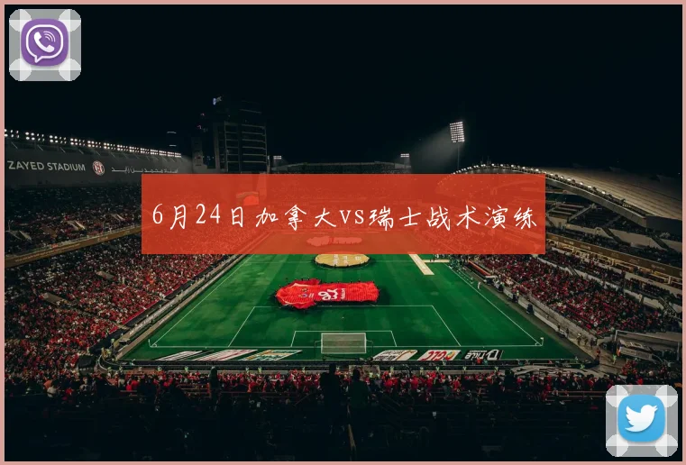 6月24日加拿大vs瑞士战术演练