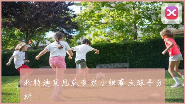 科特迪瓦厄瓜多尔小组赛点球手分析