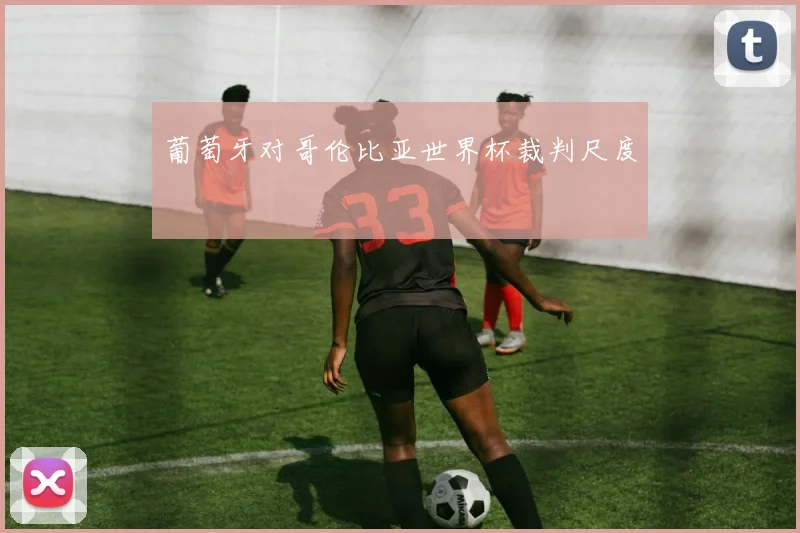 葡萄牙对哥伦比亚世界杯裁判尺度