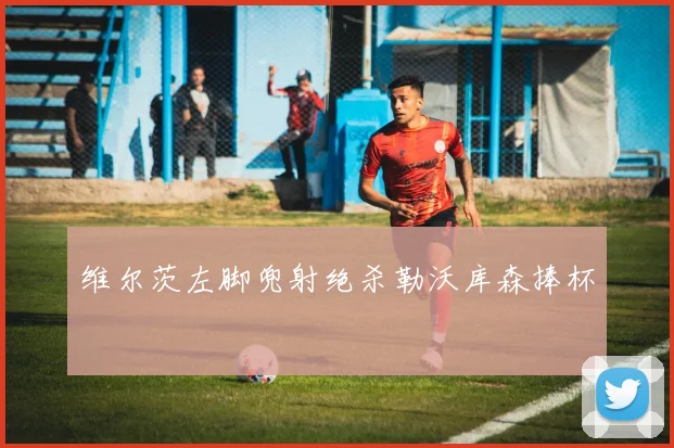 维尔茨左脚兜射绝杀勒沃库森捧杯
