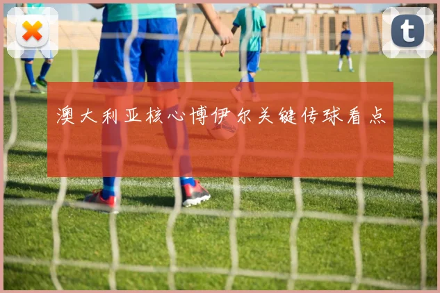 澳大利亚核心博伊尔关键传球看点