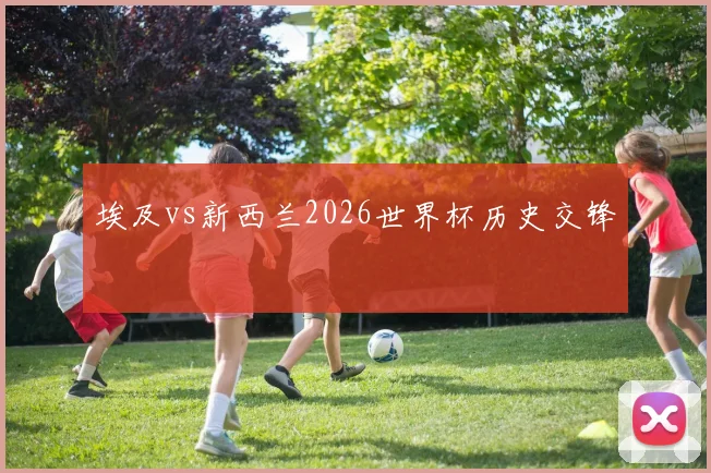 埃及vs新西兰2026世界杯历史交锋