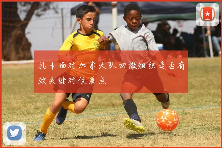 扎卡面对加拿大队回撤组织是否有效关键对位看点