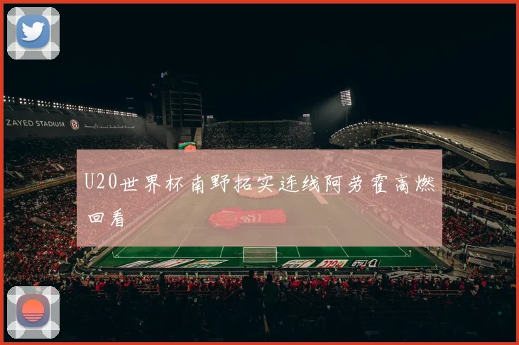 U20世界杯南野拓实连线阿劳霍高燃回看