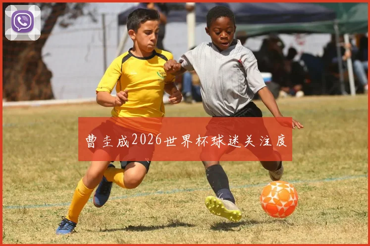 曹圭成2026世界杯球迷关注度
