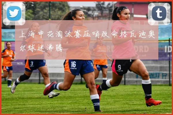 上海申花淘汰赛压哨改命格瓦迪奥尔球迷沸腾