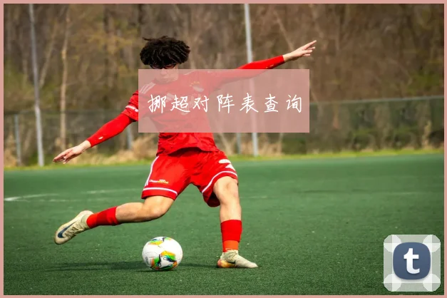 挪超对阵表查询